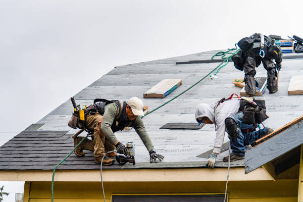 Professional Roof Installation technician working in Coralville, IA